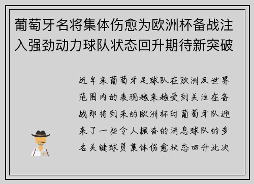 葡萄牙名将集体伤愈为欧洲杯备战注入强劲动力球队状态回升期待新突破