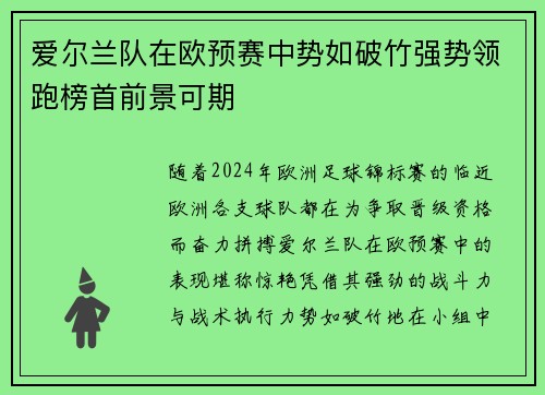 爱尔兰队在欧预赛中势如破竹强势领跑榜首前景可期